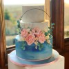 Shelley's Cakes