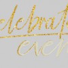 Celebrate Events
