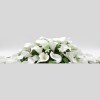 Petals Polly Flowers