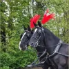 Carriagehire