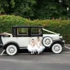 Knights Wedding Cars