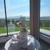 Lovely Little Cakes